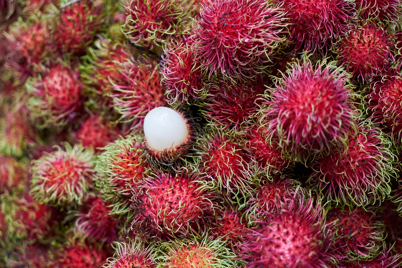  Rambutan wie isst man die exotische Beere 